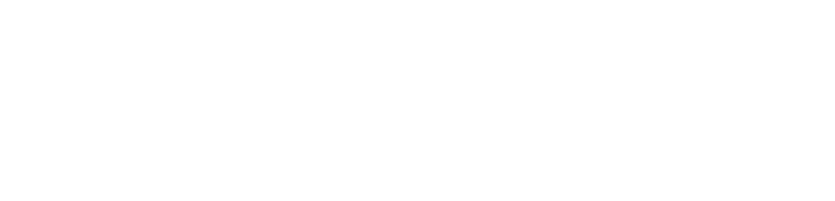 VistaVu Solutions